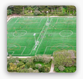 Campos